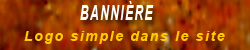 Banni�re en logo simple dans le site clubcommerce.com