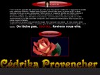 C�drika Provencher, parce qu'ensemble, nous ferons la diff�rence