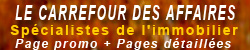 Sp�cialistes de l'immobilier : Page Web promo Entreprise + Pages d�taill�es