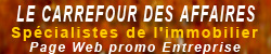 Sp�cialistes de l'immobilier : Page Web promo Entreprise