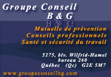 Groupe Conseil B & G